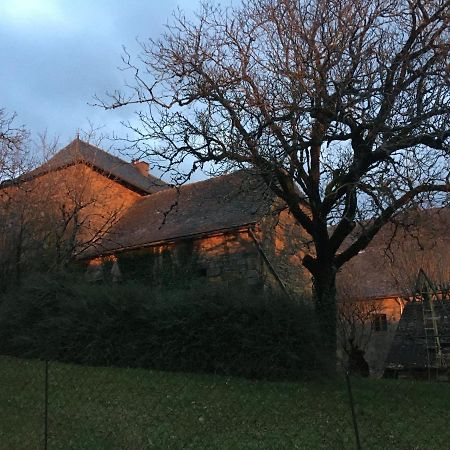 Le Chateau De Lunel Saint-Félix-de-Lunel エクステリア 写真